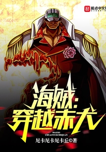 One Piece: Crossing Akainu