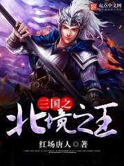 Three Kingdoms King of the North